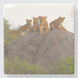 Porta-copo De Pedra Leões vendo a cena de lá Rock Perch