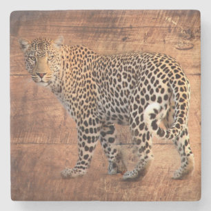 Porta-copo De Pedra Leopardo