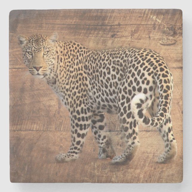 Porta-copo De Pedra Leopardo (Frente)