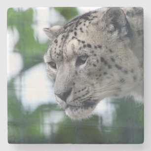 Porta-copo De Pedra Leopardo 003