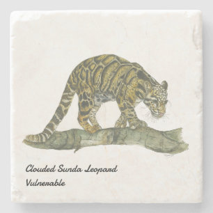 Porta-copo De Pedra Leopardo nublado, Bonito Pintado À Mão, Ameaçado D