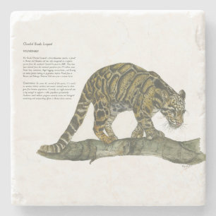 Porta-copo De Pedra Leopardo nublado, Bonito Pintado À Mão, Ameaçado D