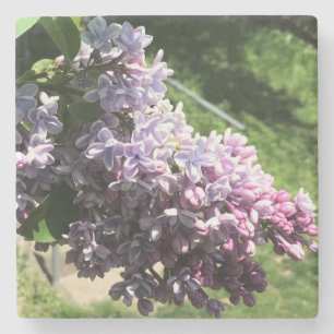 Porta-copo De Pedra Lilacs no Parque Familiar