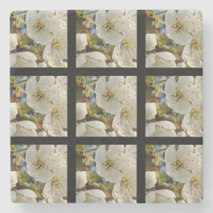 Porta-copo De Pedra Linda Grade Springflower