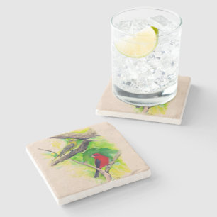 Porta-copo De Pedra Linda pintura de carlet Tanagers