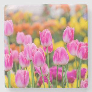 Porta-copo De Pedra Lindas Tulipas Rosa