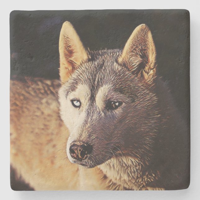 Porta-copo De Pedra lobo-animal-smartmix (Frente)