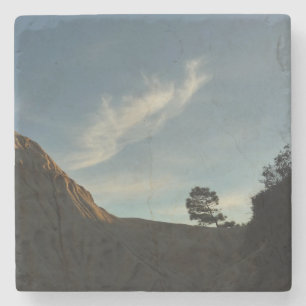 Porta-copo De Pedra Lone Torrey Pine California Sunset Landscape