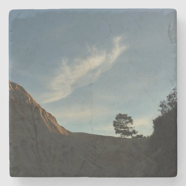 Porta-copo De Pedra Lone Torrey Pine California Sunset Landscape (Frente)