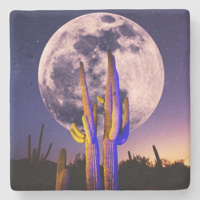 Porta-copo De Pedra Lua Cheia Sobre Saguaro Cactus (Frente)