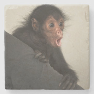 Porta-copo De Pedra Macaco-aranha-de-cara-vermelha Ateles paniscus)