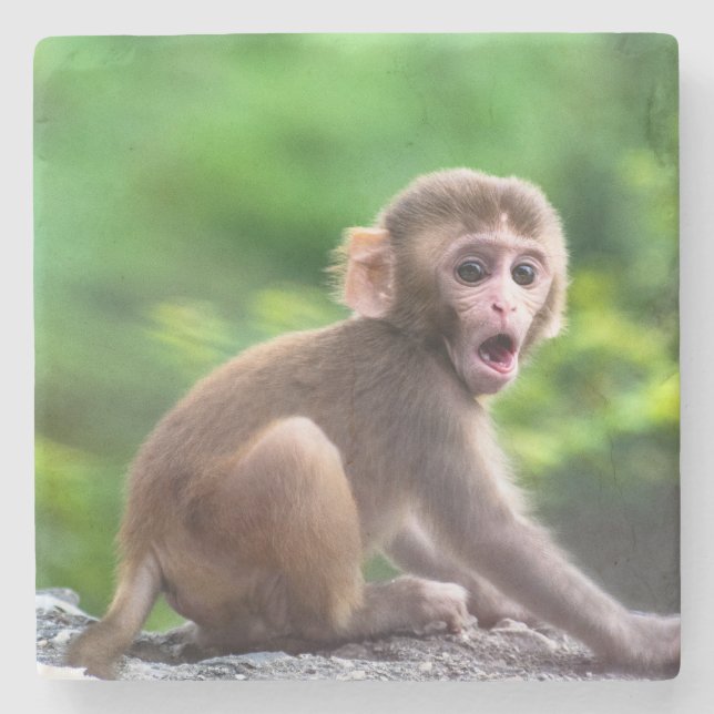 Porta-copo De Pedra Macaco-bebê bonito e adorável (Frente)
