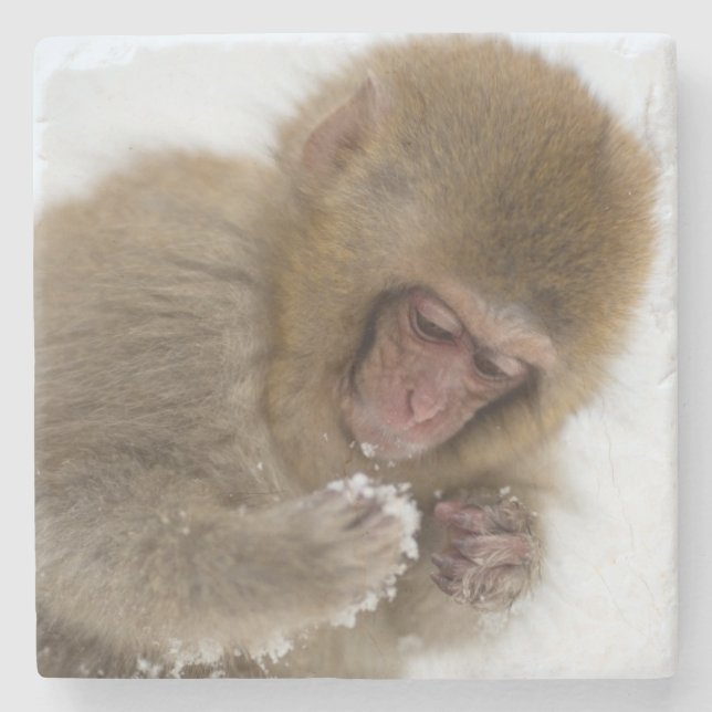 Porta-copo De Pedra Macaco japonês da neve do Macaque | do bebê (Frente)