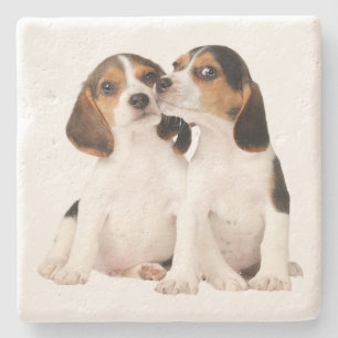 Porta-copo De Pedra Mãe de Beagle Fofa Amante de Cachorro Pai de Cacho