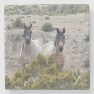 Porta-copo De Pedra Mãe e Filho de Cavalo Selvagem