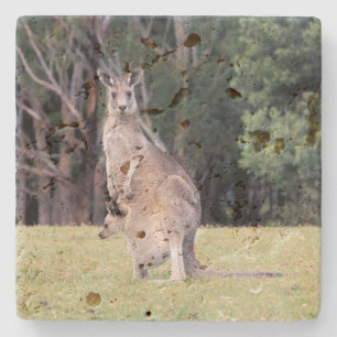 Porta-copo De Pedra Mãe Kangaroo com Bebê Joey em sua bolsa
