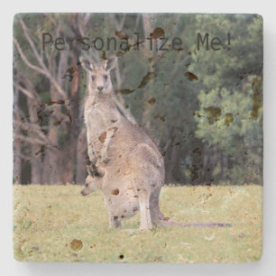 Porta-copo De Pedra Mãe Kangaroo com Bebê Joey em sua bolsa