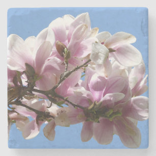 Porta-copo De Pedra Magnolia Blossom