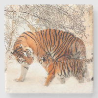 Mamãe e Baby Tiger