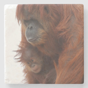Porta-copo De Pedra Mamãe e bebê Orangutan