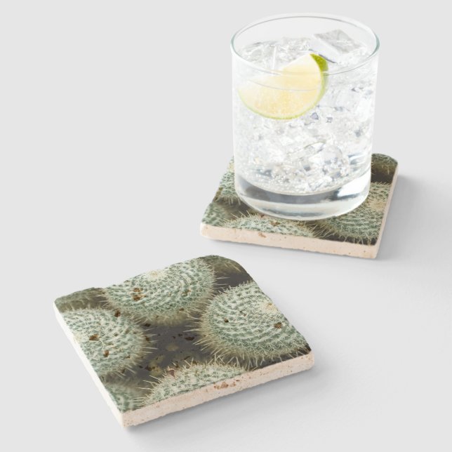 Porta-copo De Pedra Mammillaria hahniana (Lateral)