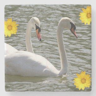 Porta-copo De Pedra Marble Stone Porta copos Swan