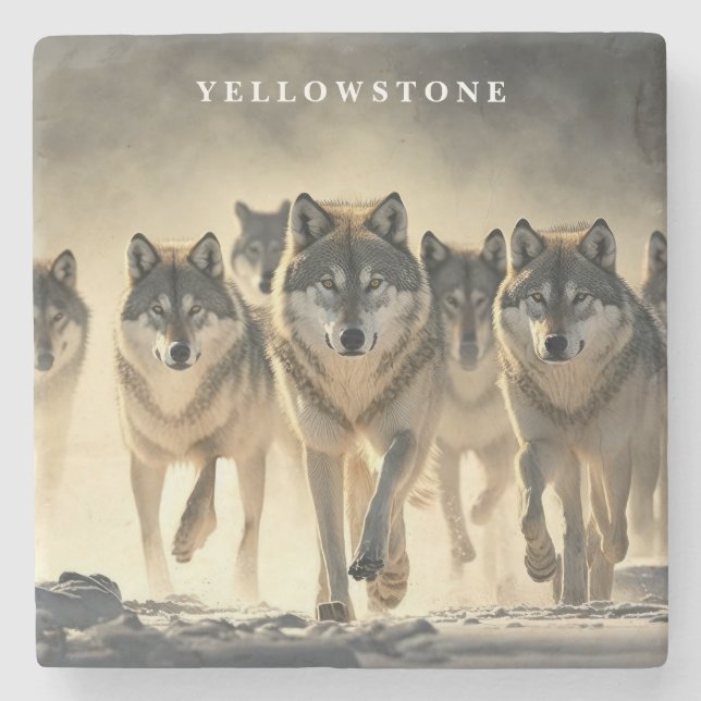 Porta-copo De Pedra Marble Stone Porta copos-Yellowstone Wolves (Frente)