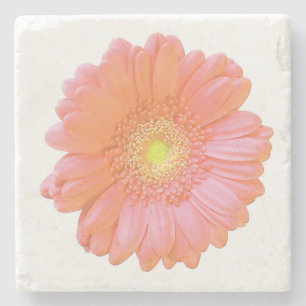 Porta-copo De Pedra Margarida alaranjada do gerbera