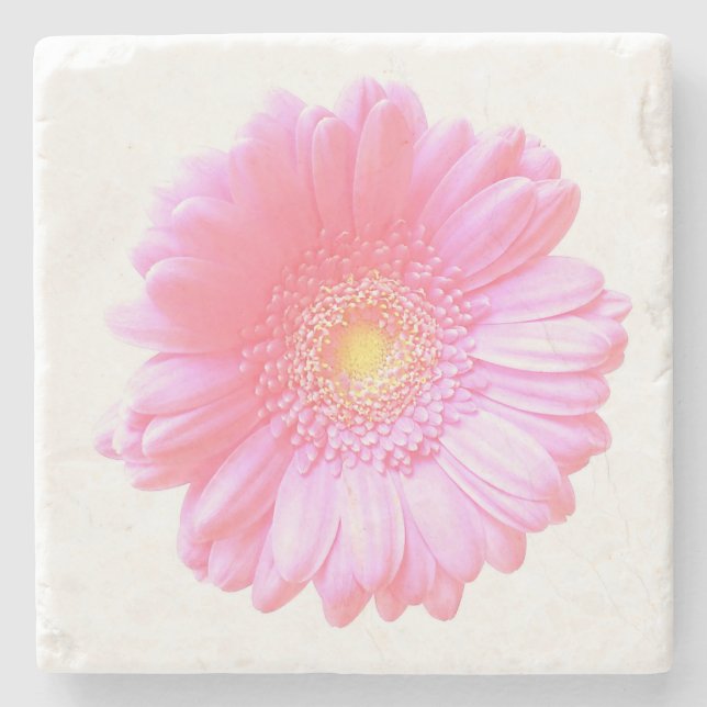 Porta-copo De Pedra margarida da rosa claro gerbera (Frente)