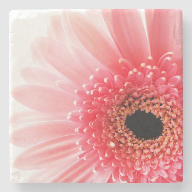 Porta-copo De Pedra Margarida Gerbera (Frente)