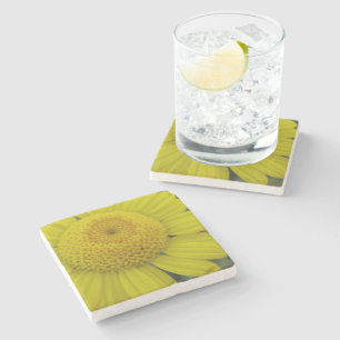 Porta-copo De Pedra Marguerite amarela bonito