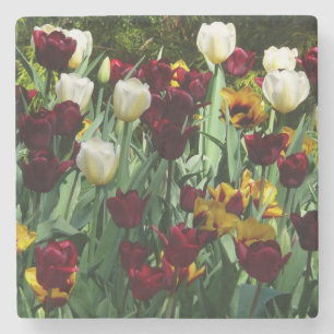 Porta-copo De Pedra Maroon e Tulipas Amarelas Palidez Colorida