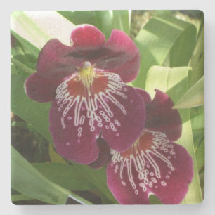 Porta-copo De Pedra Maroon Orchids II Elegante Floral