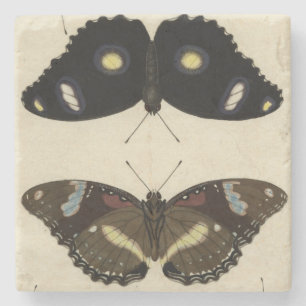 Porta-copo De Pedra Medley da Borboleta Colorida no Fundo de Creme