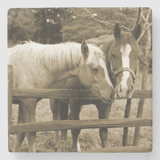 Porta-copo De Pedra Melhores Amigos (Frente)
