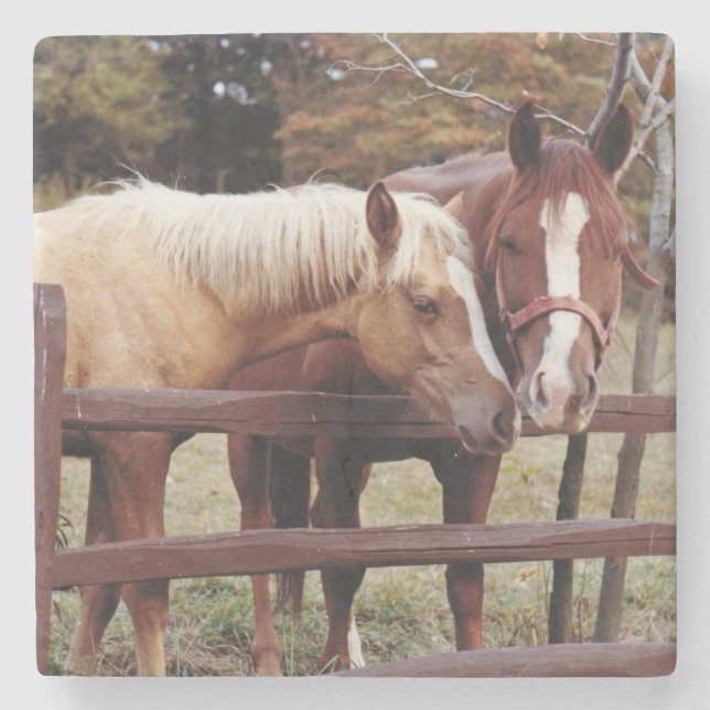 Porta-copo De Pedra Melhores Amigos (Frente)