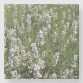 Porta-copo De Pedra Melissa Lavender