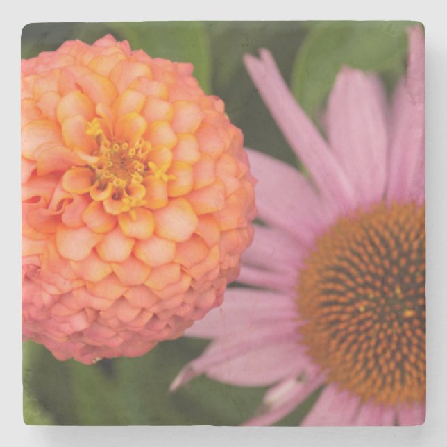 Porta-copo De Pedra Michigan, Dearborn, Greenfield Village. Pêssego (Frente)