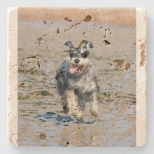 Porta-copo De Pedra mini schnauzer