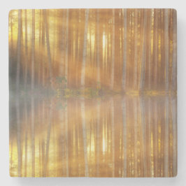 Porta-copo De Pedra Misty Forest Scene