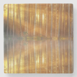 Porta-copo De Pedra Misty Forest Scene
