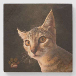 Porta-copo De Pedra Modelo de Foto de Cão de Gato de Gato de Gato de P