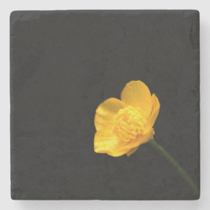 Porta-copo De Pedra Mosteiro da Flor do ButterCup