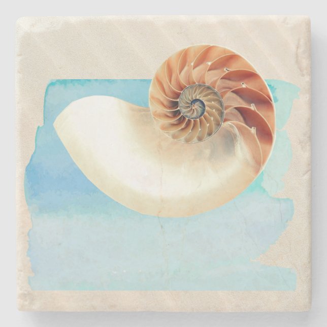 Porta-copo De Pedra Nautilus Seashell e Sand (Frente)