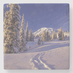 Porta-copo De Pedra NE, EUA, Washington, Mt. Rainier NP, Neve profunda