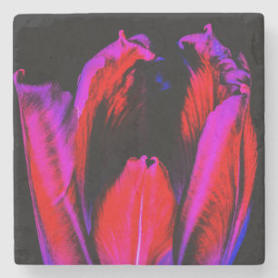 Porta-copo De Pedra Neon Glow Tulip