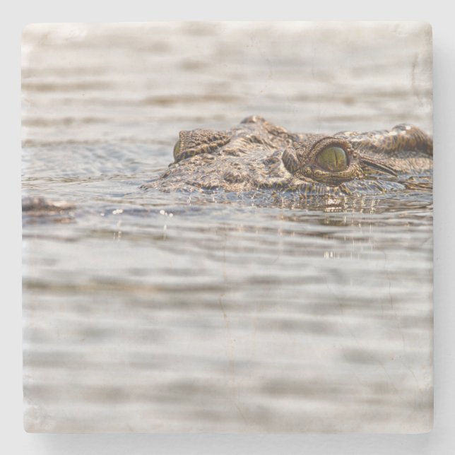 Porta-copo De Pedra Nile Crocodilo (Frente)