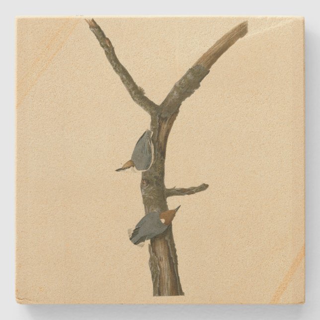 Porta-copo De Pedra Nuthatch de cabeça castanha - Aves da América de A (Frente)