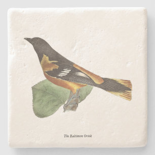 Porta-copo De Pedra O Ouro ou Baltimore Oriole (Icterus galbula)