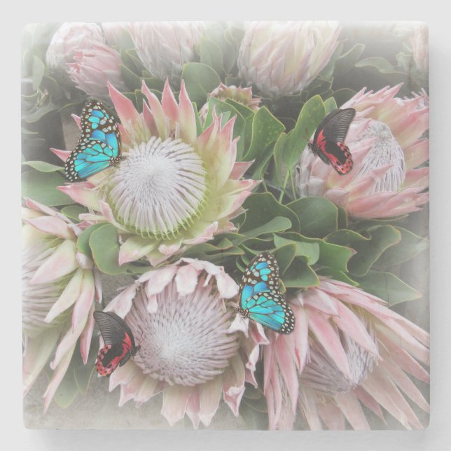 Porta-copo De Pedra O Rei Protea (Frente)